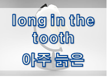  '젊음/늙음/건강' 관련 재미있는 영어 표현