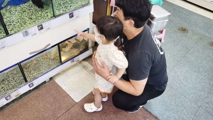  육아 그리고 일상
