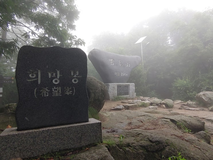 안개속으로 마냥 걸으며 보는 오늘아침 설봉산 모습들 안개속으로 마냥 걸으며 보는 오늘아침 설봉산 모습들
