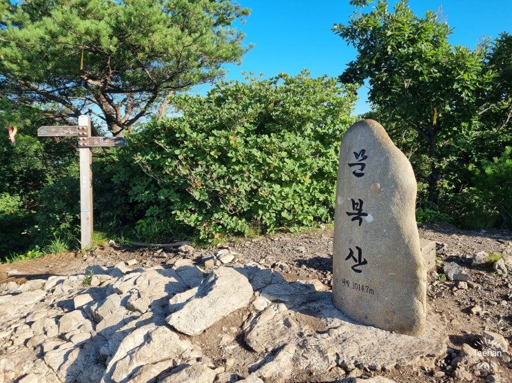  [영남 알프스] 문복, 천황, 재약 최단 코스, 1일 3봉, 여름 등산 - 문복