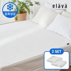  후회없는 잉글레시나앱티카 품절되기전에 빨리 킵하세요!