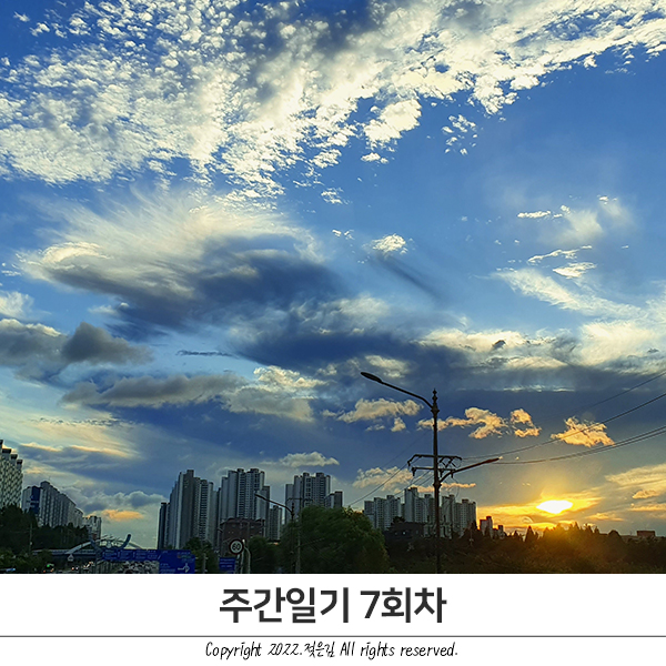 주간일기 7회차 : 부랴부랴 써본다