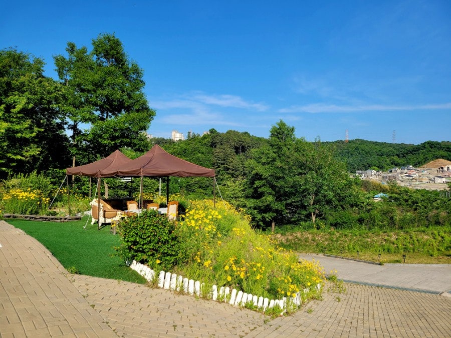 로코스212 사진 1