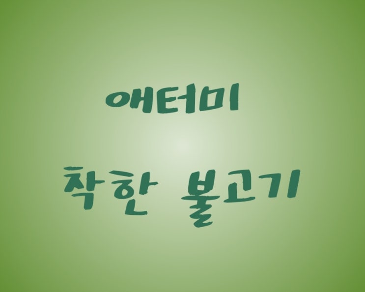  건강한 재료 명품의 맛, 애터미 착한 불고기