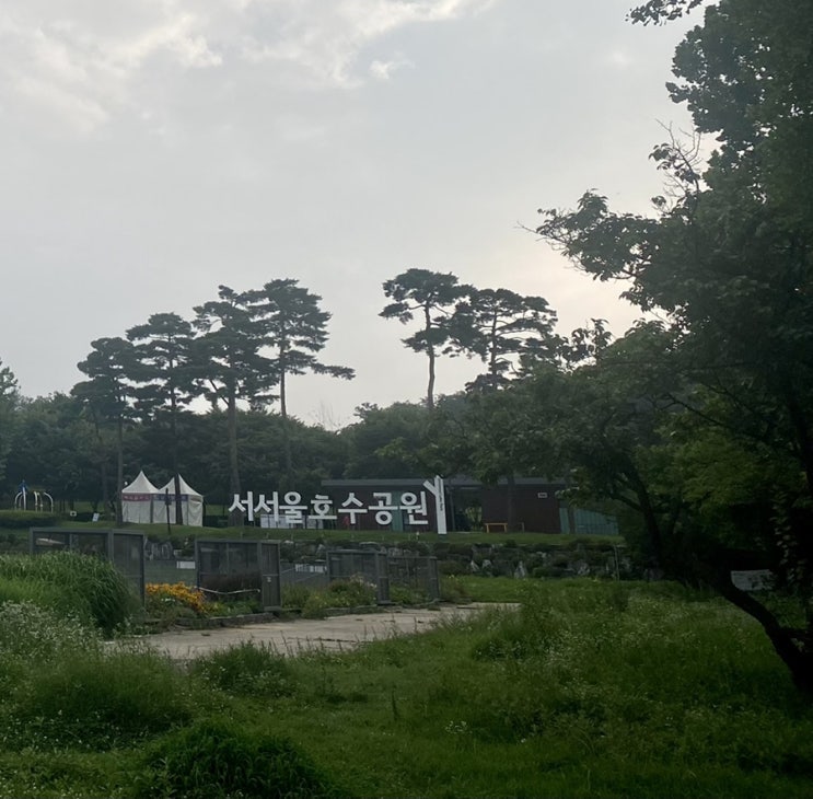  서서울호수공원 드라이브 데이트 추천