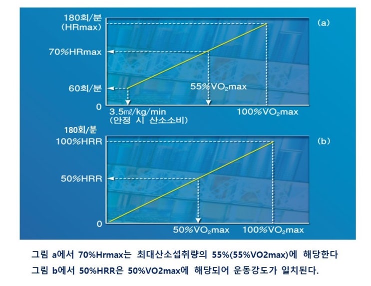  카보넨 공식(Karvonen's Method)을 통한 목표심박수 구하기, 최대심박수(HRmax),여유심박수(HRR)