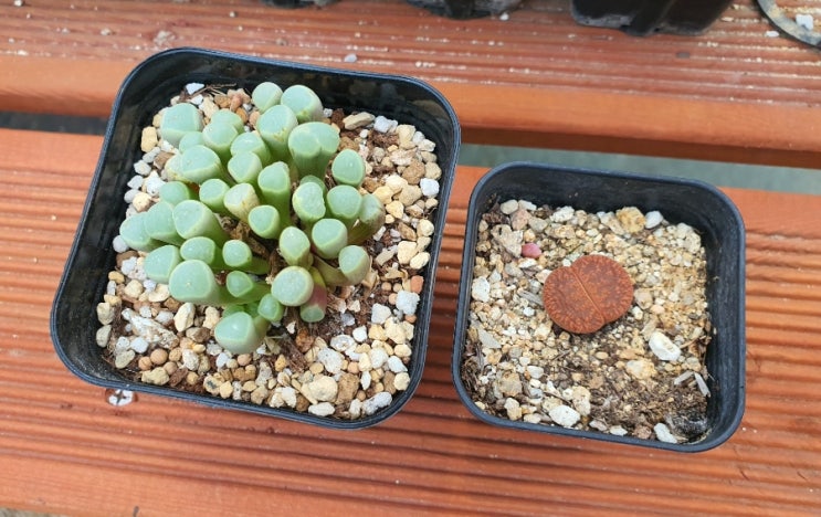  7.11.-7.17.