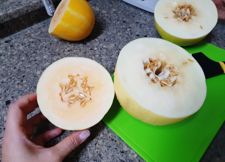  과일 디저트/참외 메론/메론 참외/참외/메론/신품종/여름 과일/제철 과일/디저트/후식