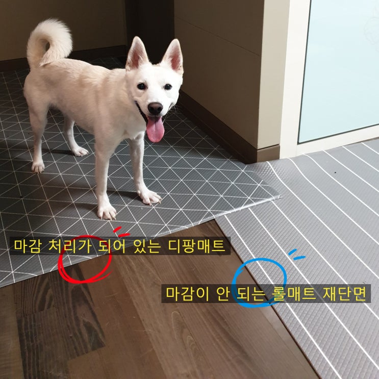 반려견 미끄럼 방지 매트 비교 후기(디팡, 퍼핑) 반려견 미끄럼 방지 매트 비교 후기(디팡, 퍼핑)