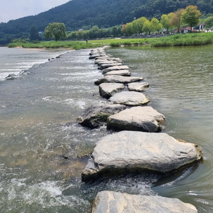  7월 넷째 주