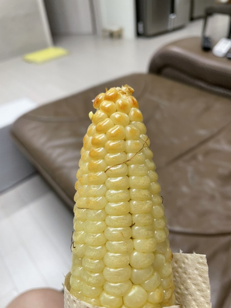  주간일기 챌린지7