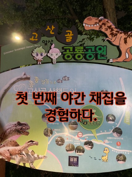  야간 채집 첫 번째 - 앞산 고산골에서 대박 생물을 잡다.