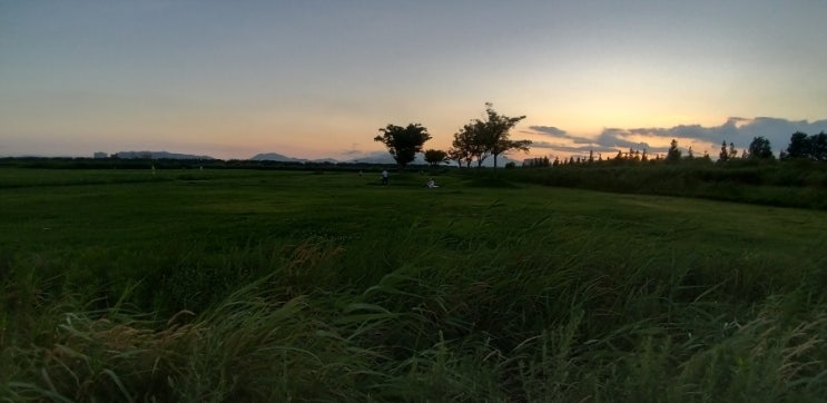  한가한 주말 애견동반 산책