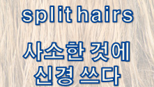  '예민/둔감/초조' 관련 재미있는 영어 표현