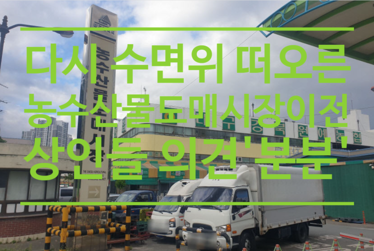 다시 수면 위에 떠오른 대구 농수산물도매시장 이전...상인들 의견 '분분'