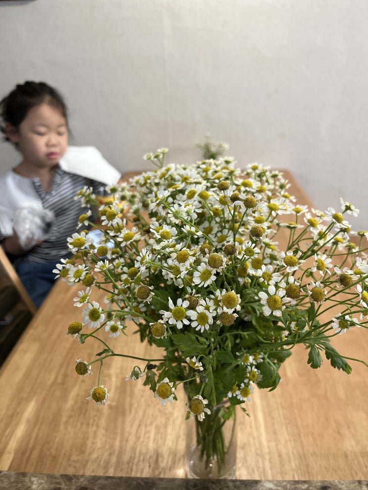  이쁜 소국
