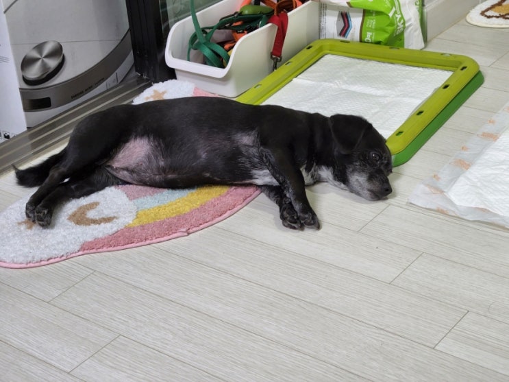 산책하다 길을 잃다 산책하다 길을 잃다