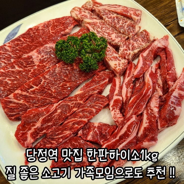 한판하이소 가족 외식_ 당정역 맛집 군포 소고기 추천