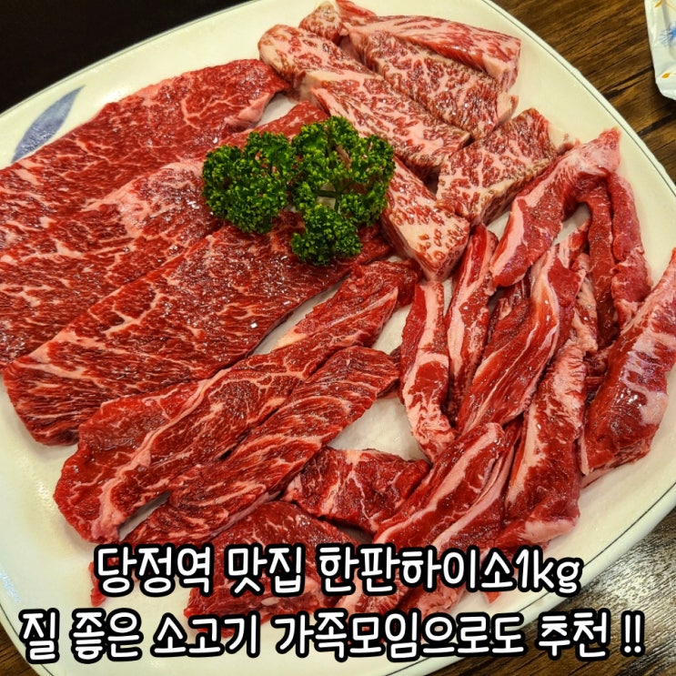  한판하이소 가족 외식_ 당정역 맛집 군포 소고기 추천