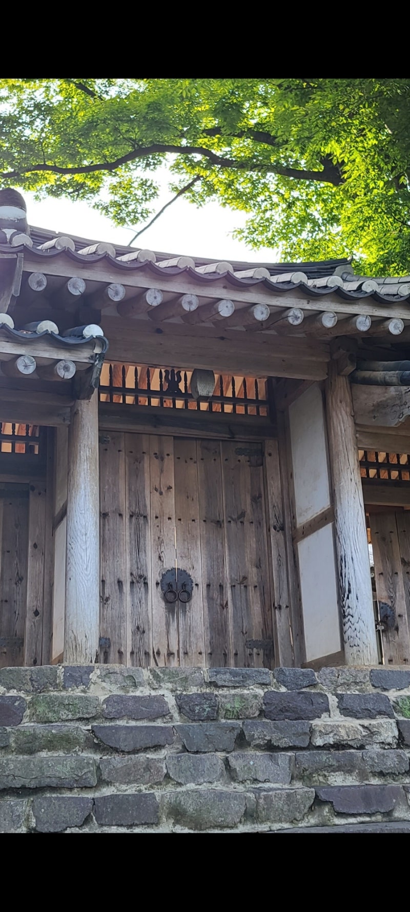 ADA Cardano World No.6 Coin 에이다 카르다노 세계 6위 코인, 찰스 호스킨스, 비탈린 부테릭 : 네이버 블로그