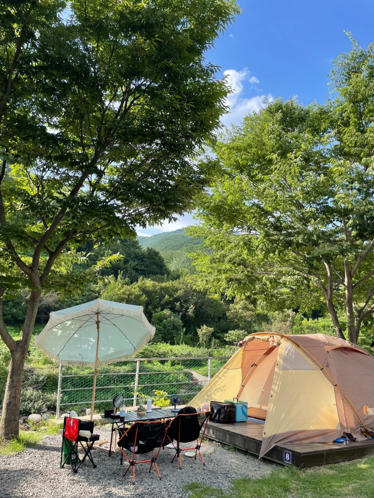 캠린이의 한여름 첫 캠핑 도전기(feat. 광양 하조오토캠핑장)
