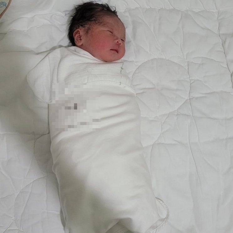  안녕하세요 이웃님들 저는 쑥쑥이 입니다~ㅎㅎ