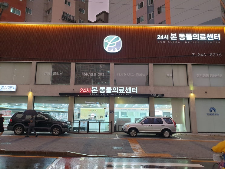  [수원 24시 동물병원] 본 의료동물 센터 방문 후기