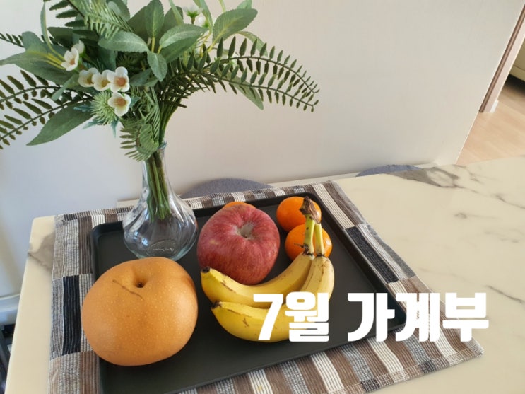  2022년 7월 가계부[1인 가구](2022/6/25~2022/7/24)