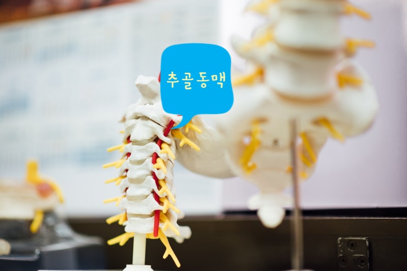 [양재 김경호한의원] 경추교정사고 - 추나는 반드시 전문가에게!!