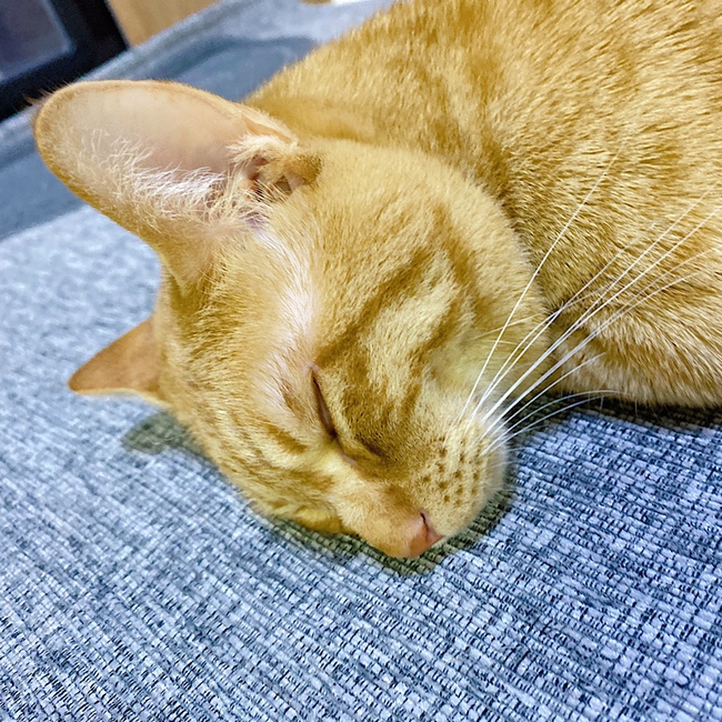  [블챌] 주간일기, 7주