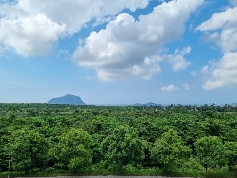 제주 항공우주 호텔' 장점 단점 확실한 후기(조식 자세히, 디럭스 더블룸) : 네이버 블로그 제주 항공우주 호텔' 장점 단점 확실한 후기(조식 자세히, 디럭스 더블룸) : 네이버 블로그