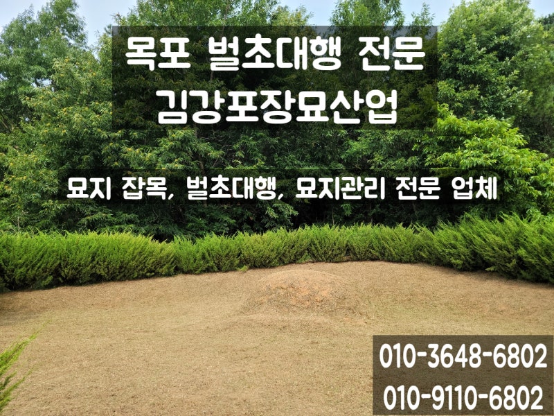 잉글리쉬아이 건강지킴이_코로나19로부터 안전한 추석 연휴!