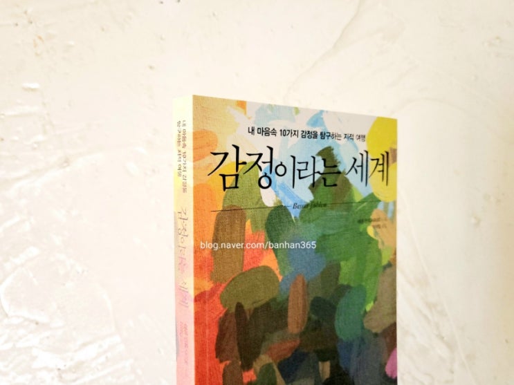  감정이라는 세계 - 레온 빈트샤이트