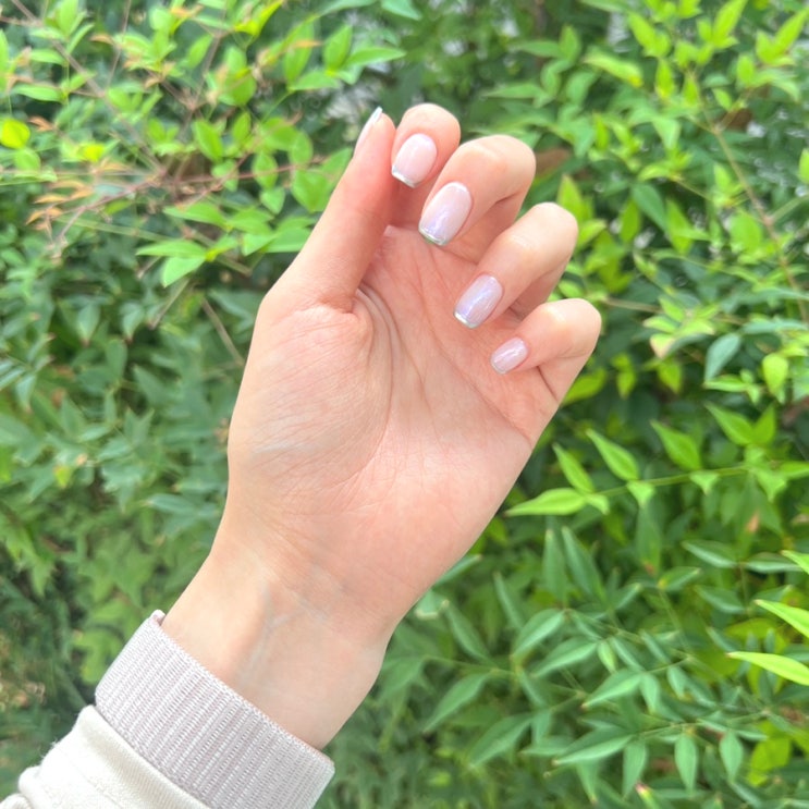  신사역네일 블링바이제이에서 시럽프렌치 하고왔어요