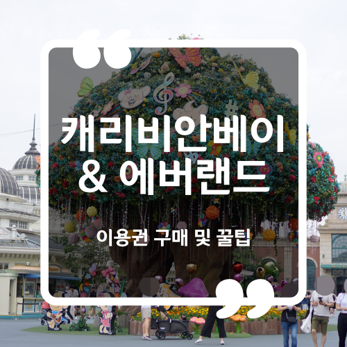  캐리비안베이 및 에버랜드 할인 구매 발레파킹 예약 플랜잇 짐보관