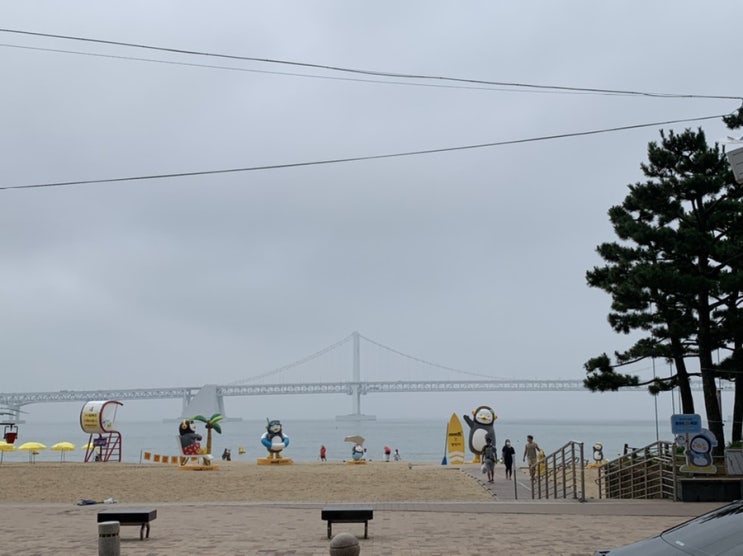 펭수 is back! 광안리 해수욕장 산책하러갔다가 펭수보고 왔지용 호랑이도 다시 어흥어흥 우네요c 펭수 is back! 광안리 해수욕장 산책하러갔다가 펭수보고 왔지용 호랑이도 다시 어흥어흥 우네요c