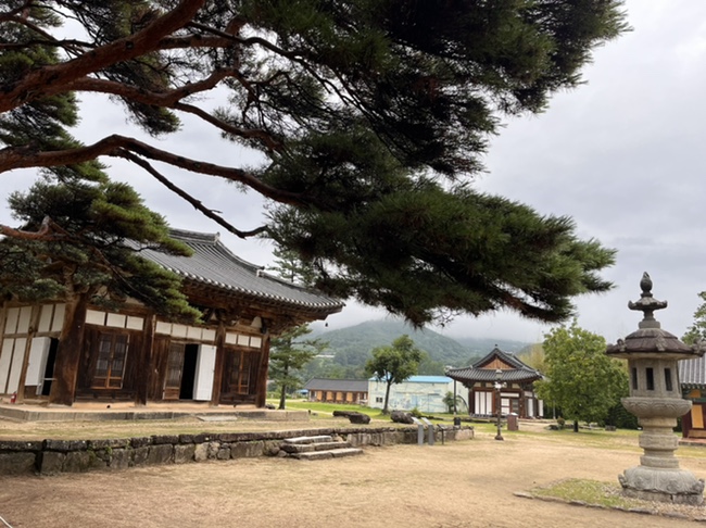  3주차는… 휴가와 함께 딴나라로…