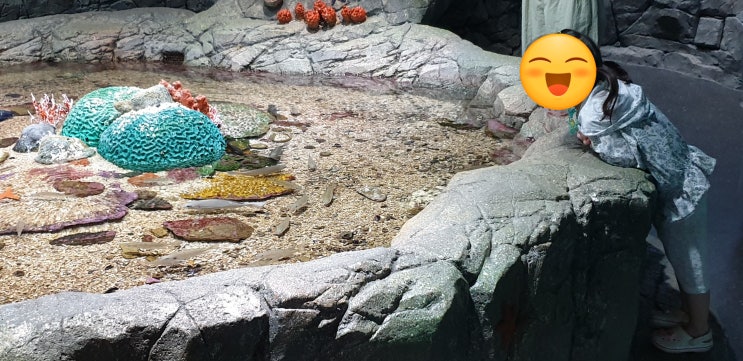  부산 근교 닥터피쉬와 다양한 해양생태계를 보고 배울 수 있는 기장 국립수산과학관