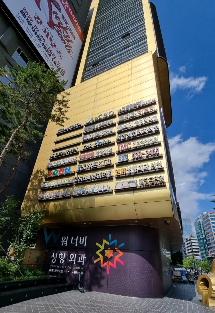 주간일기 #8. 신사동6번출구 성형외과(피부과) 건물, 삼인행필유아사, 회사 앞 고양이