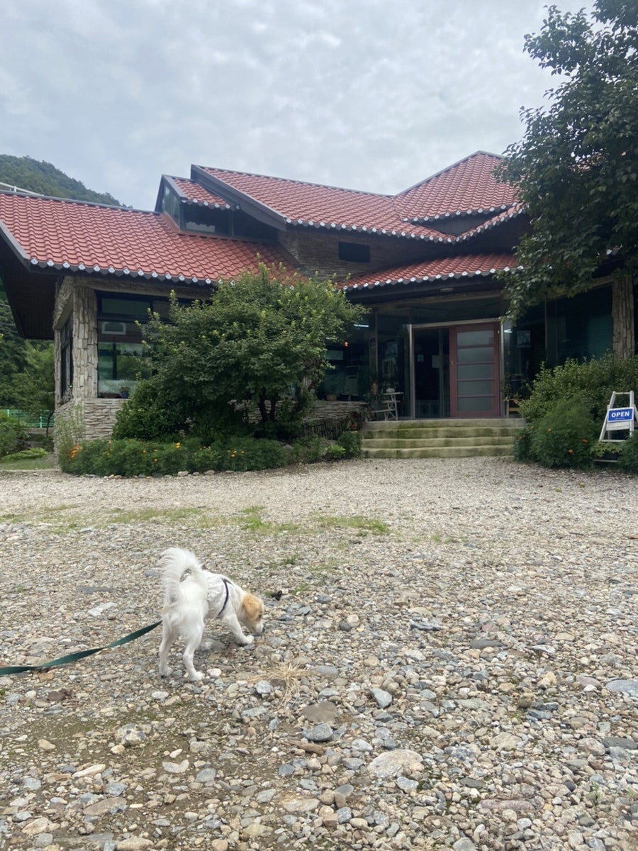 미로다육카페 사진 1