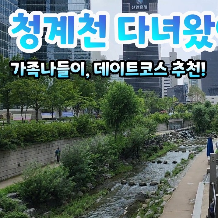  서울 청계천 산책로 걸으며 왜가리 물고기 보고 물멍 해요