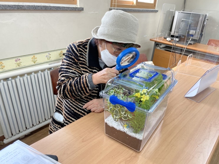 귀뚜라미 키우며 '힐링'…서울시, 노인복지시설 시범사업 귀뚜라미 키우며 '힐링'…서울시, 노인복지시설 시범사업