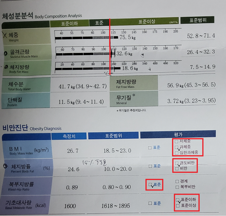  운동 시작