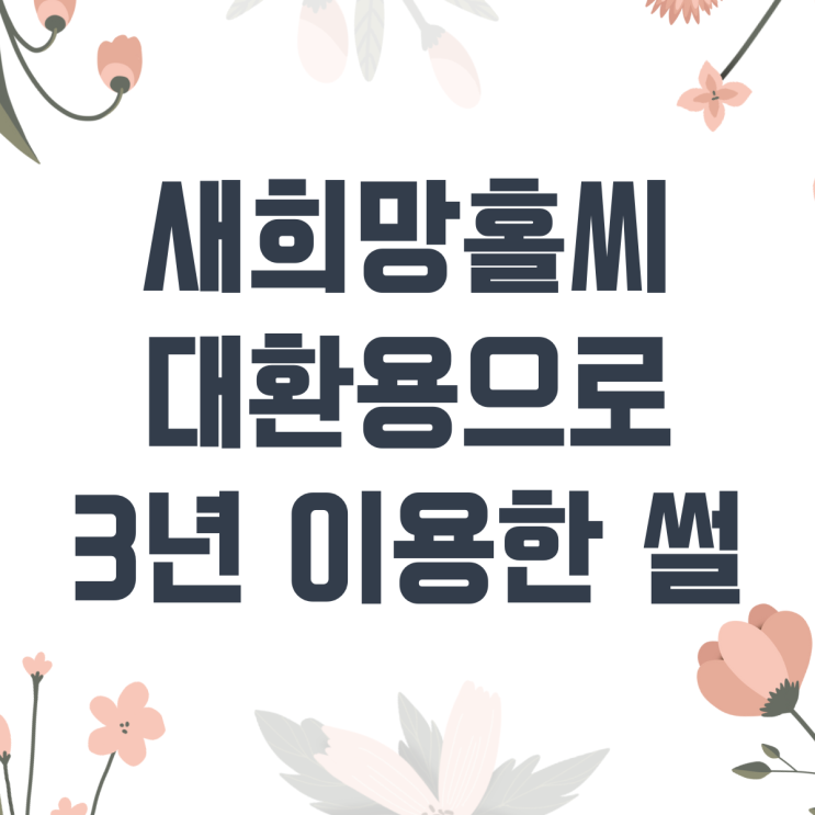  새희망홀씨 대출 가능한 대환 조건 은행 : 3년 넘게 써 본 후기