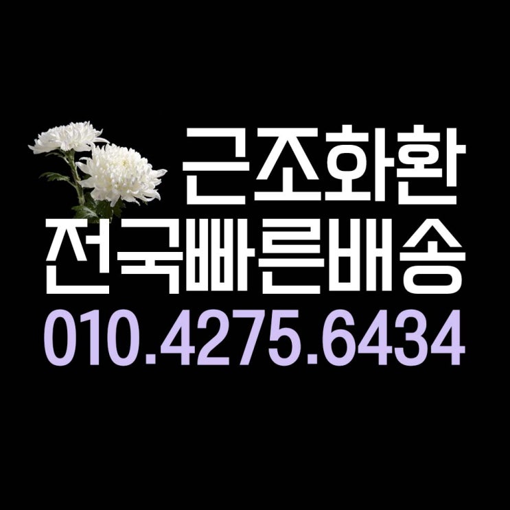  세종병원장례식장 고인을 추모하는 근조바구니 배달꽃집