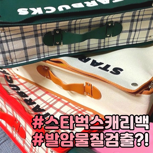  스타벅스캐리백 발암물질 폼알데하이드 검출?! 보상 및 교환방법