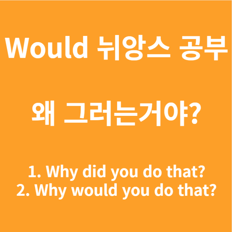  Would 뜻 (why did you do that vs why would do that)