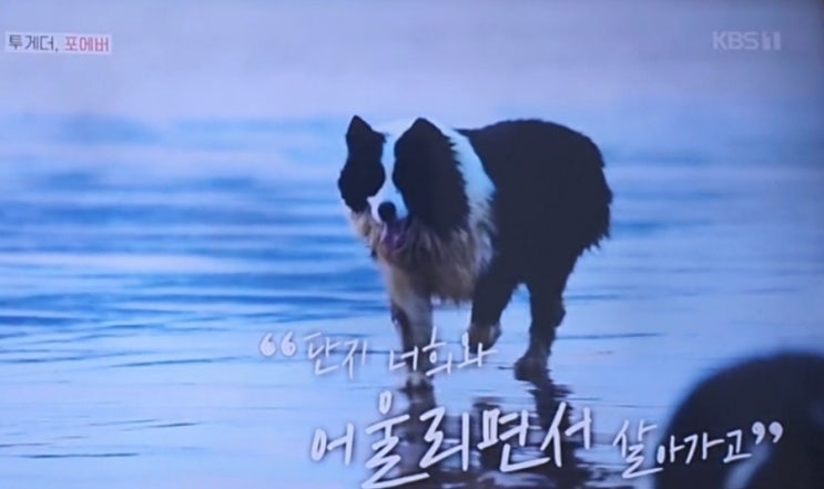  단짝 투게더 너희에게 주는 사랑은 주어도 주어도 부족해