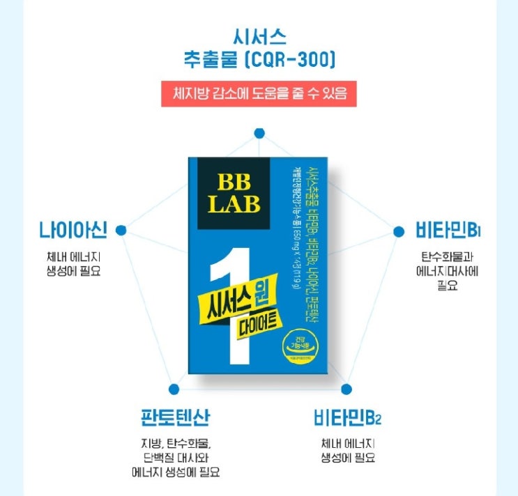  뉴트리원 비비랩 시서스 원 다이어트 12주분 + 활력환 1포