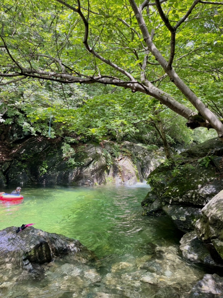  백수생활